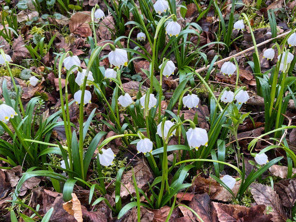 23-03-12 15-36-43 4809